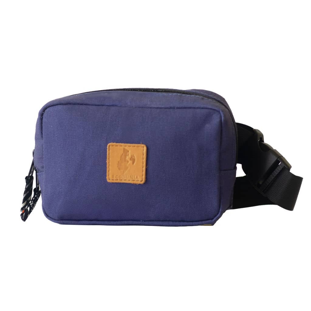 Canvas Purple Crossbody Belt Bag