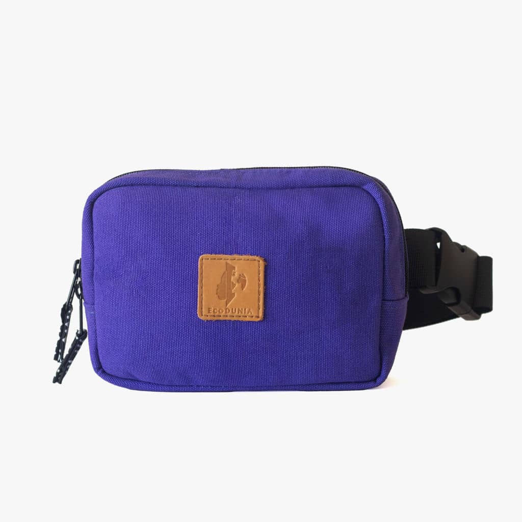 Canvas Crossbody Belt Bag Pouch, The Everywhere Belt Bag