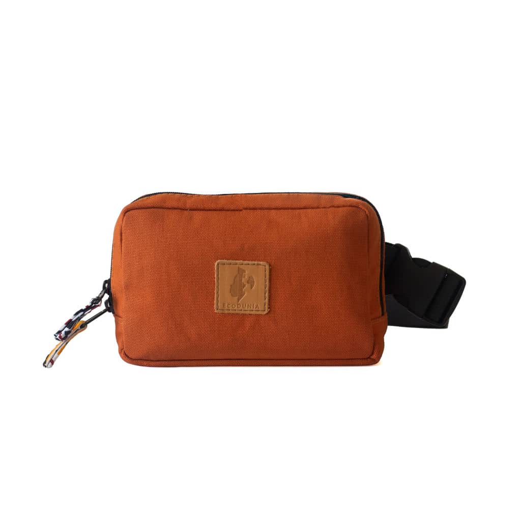 Canvas Crossbody Belt Bag Pouch, The Everywhere Belt Bag