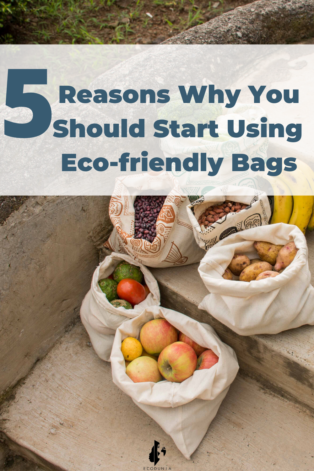 5 Reasons Why You Should  Start Using Eco-Friendly Bags