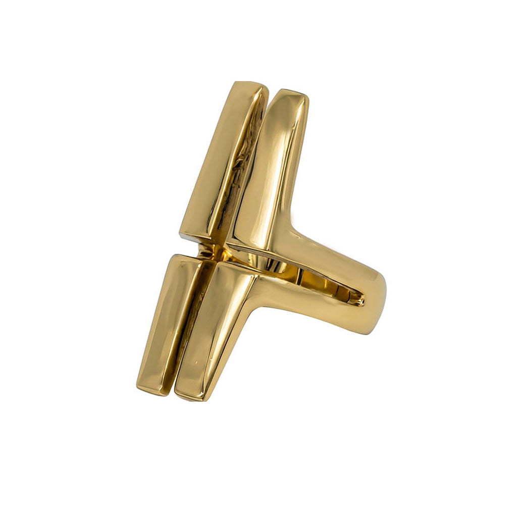 Double Parallel Bar and Cross Ring | Ayana