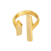 Aysmmetric Parallel Bars Ring | Nadi