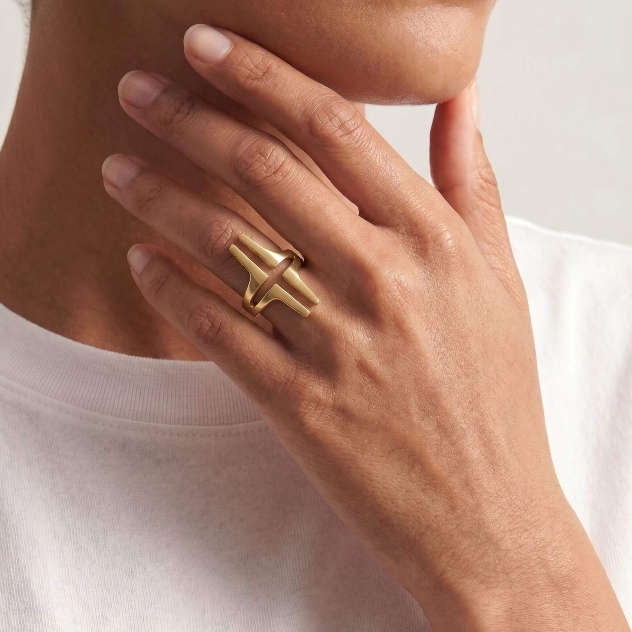 Double Parallel Bar and Cross Ring | Ayana