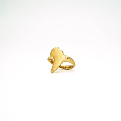 Handmade Adjustable Africa Ring in Brass