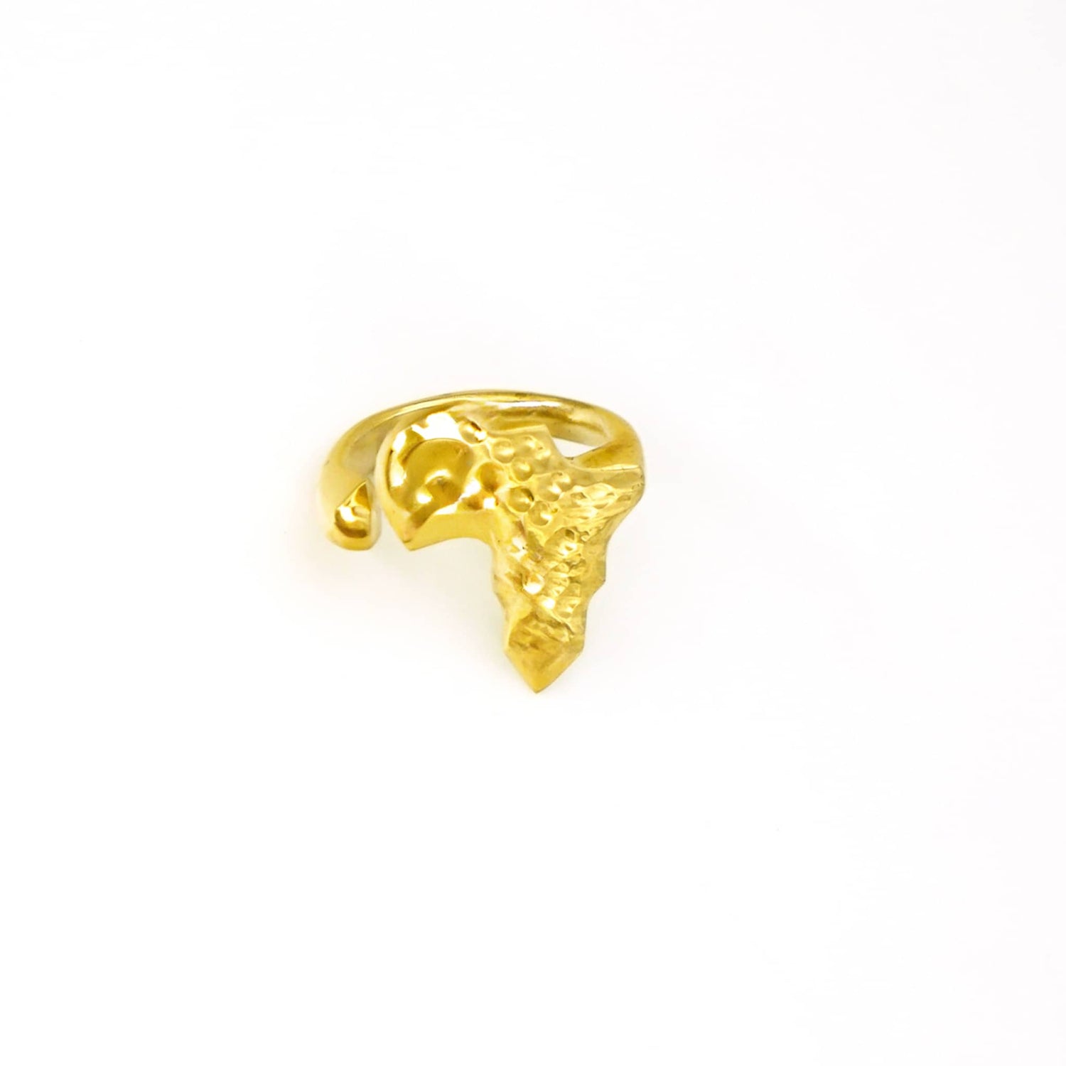 Handmade Adjustable Africa Ring in Brass