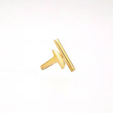 Aysmmetric Parallel Bars Ring | Nadi