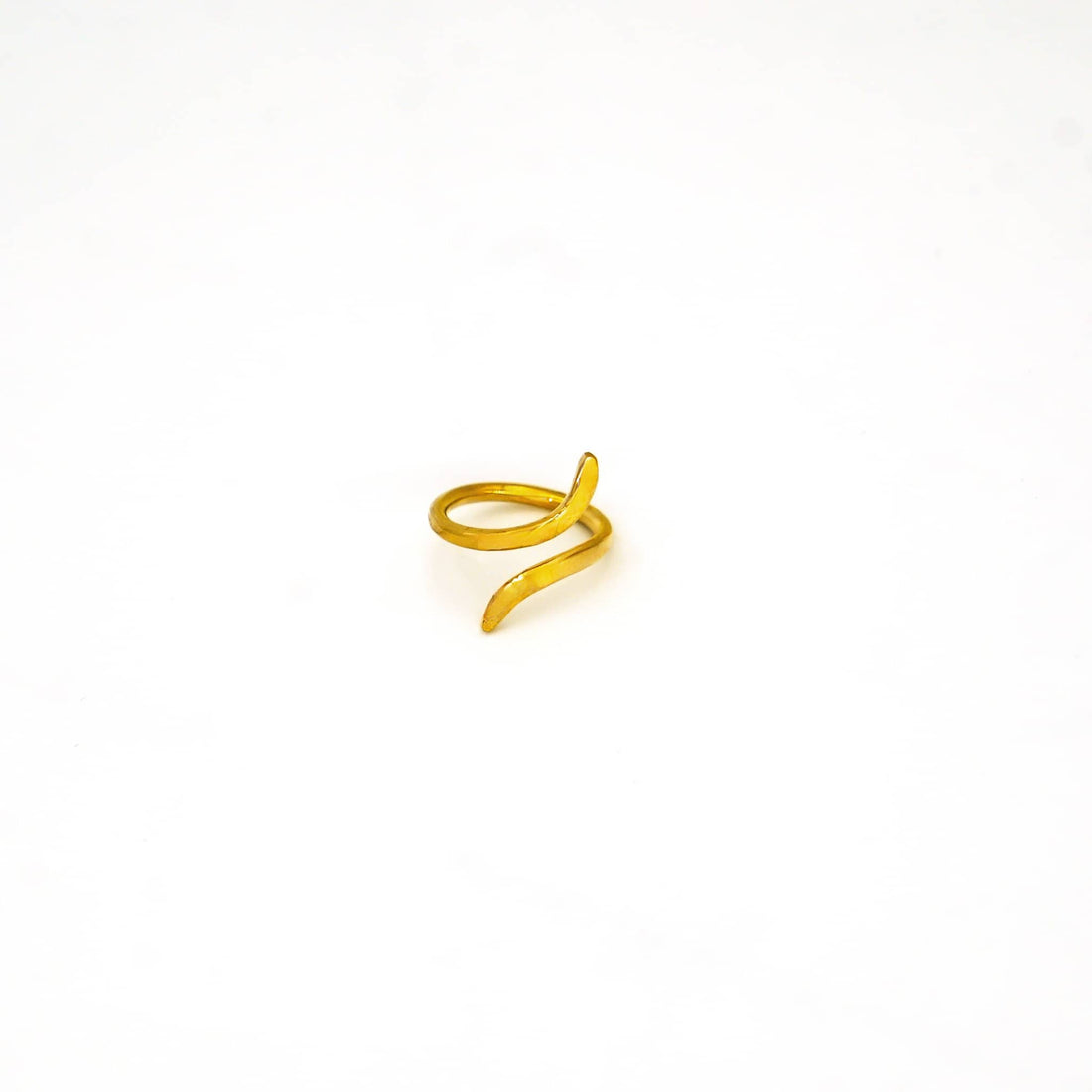 Nema Adjustable Coiled Ring