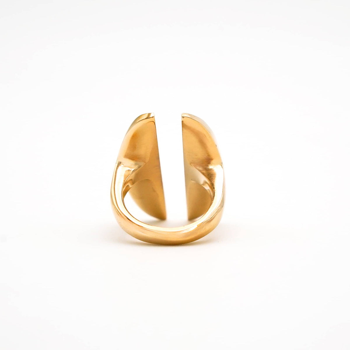 Double Oval Disc Ring | Pata