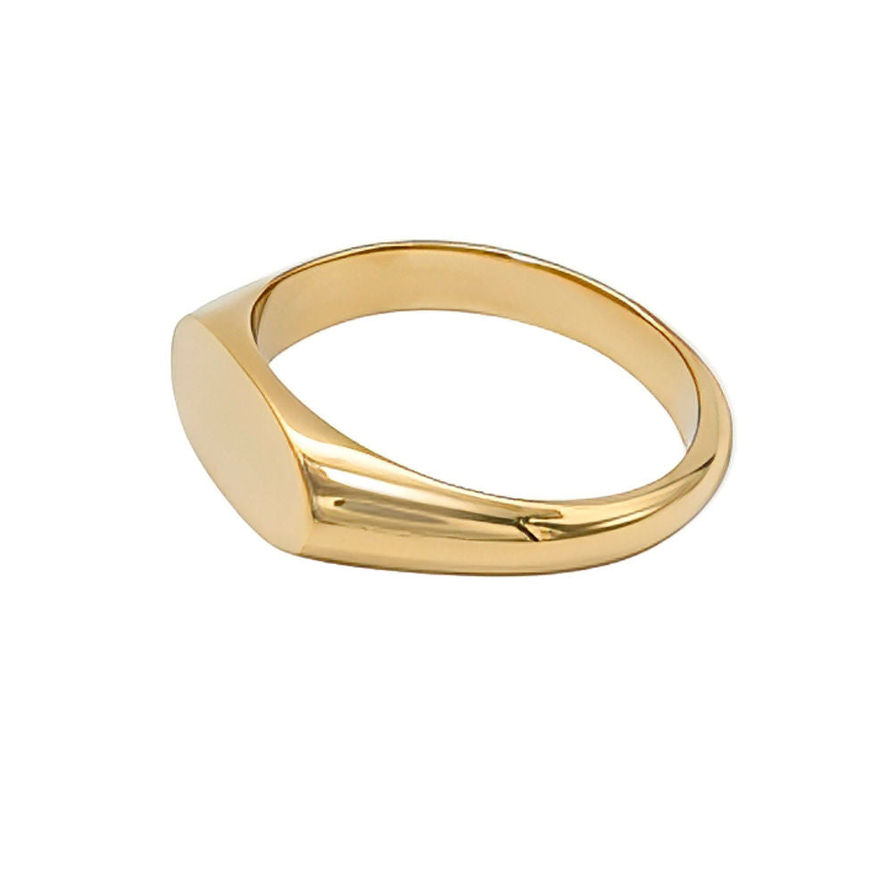 Brass Narrow Oval Signet Ring | Pendo - EcoDunia