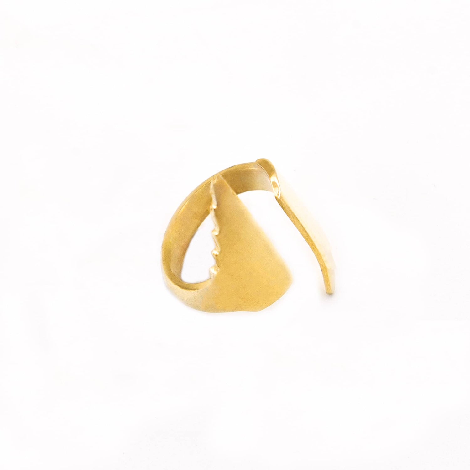 Peo Elongated Adjustable Wrapped Ring