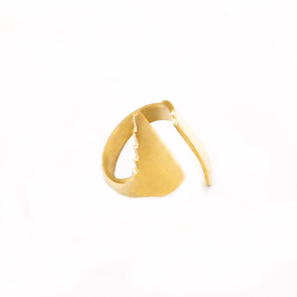Elongated Wrap Ring | Peo