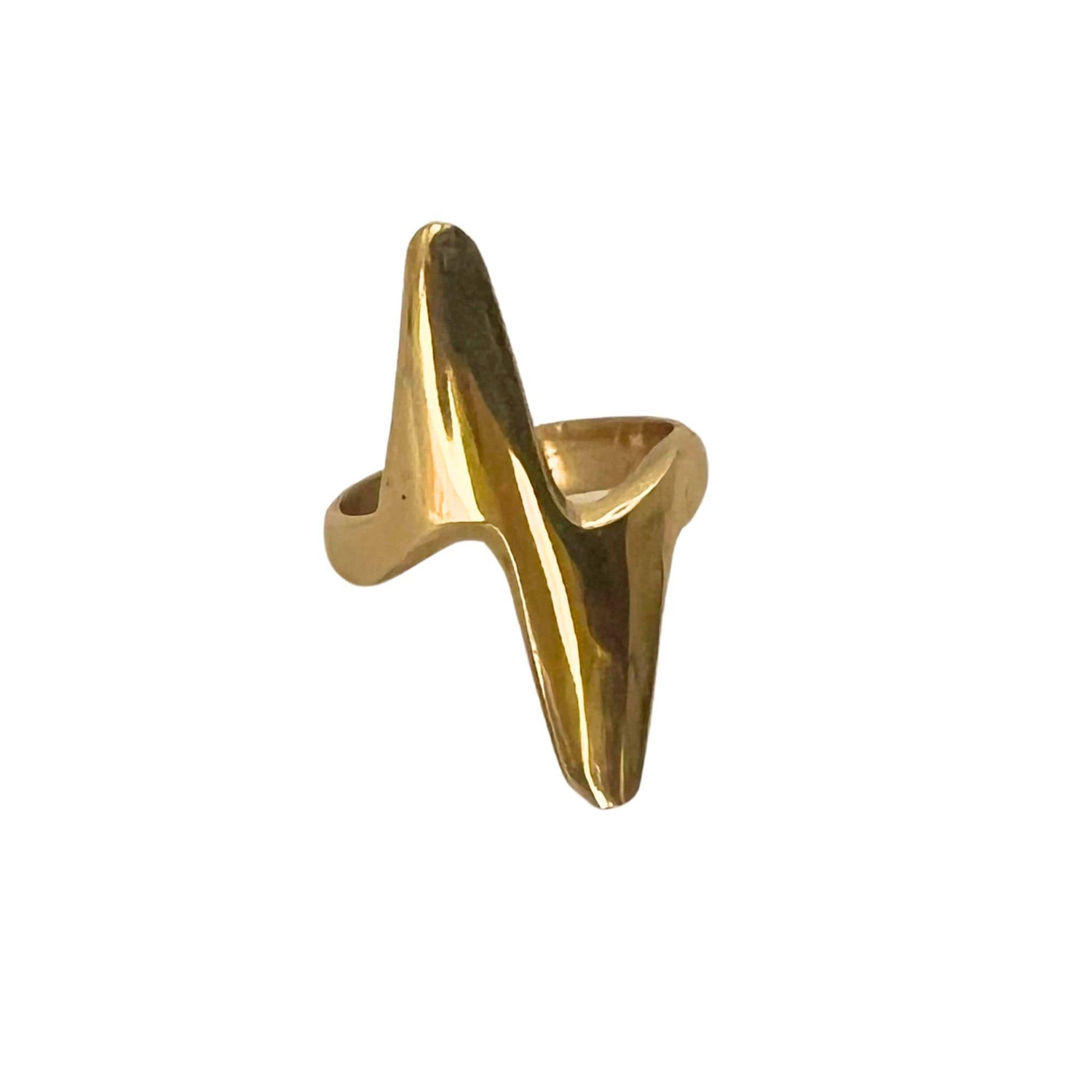 Taji Statement Heartbeat Ring