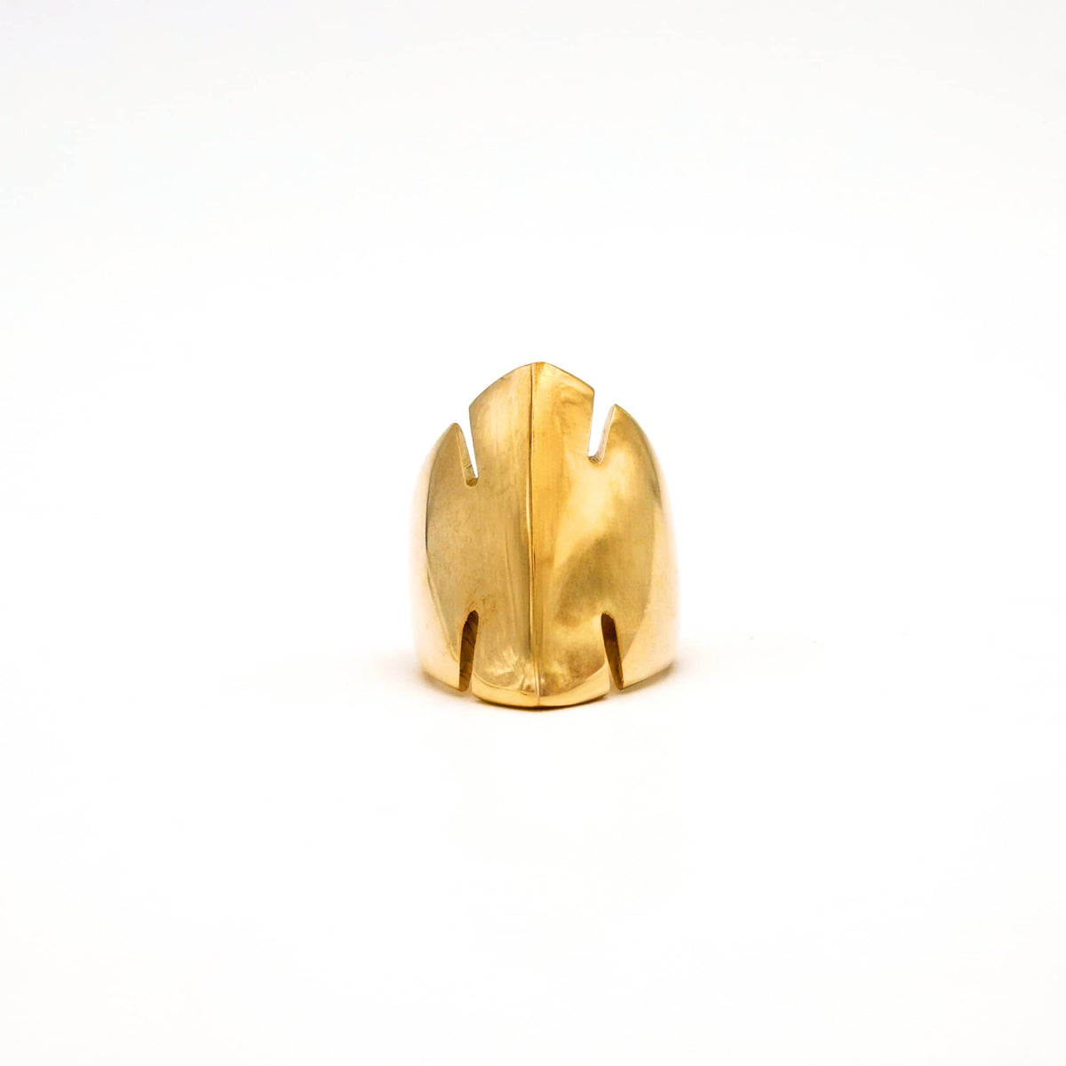 Split Leaf Dome Ring | Tamu